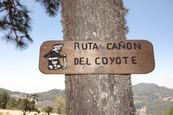 We have 8 hikes in the Sierra Norte of Oaxaca this season