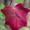 img_0457