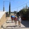 IMG_3881