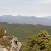 mg_8280