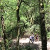 img_7232