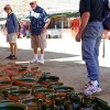 mg_6568-17-54-18