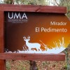 IMG_8882.jpg