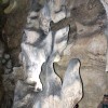 img_0952
