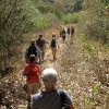 img_1650